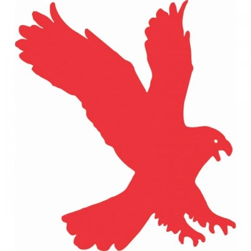 شابلون دیواری عقاب کد 330