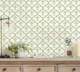 شابلون مراکشی کد 293