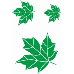 شابلون دیواری برگ کد 624