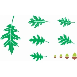 شابلون دیواری برگ کد 640