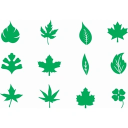 شابلون دیواری برگ کد 642